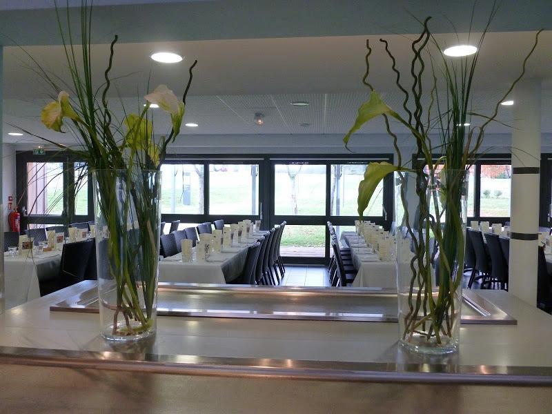 Domaine D'Ariane Hotel Mondonville Kültér fotó