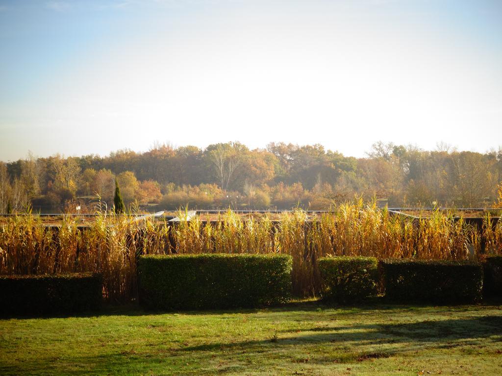 Domaine D'Ariane Hotel Mondonville Kültér fotó